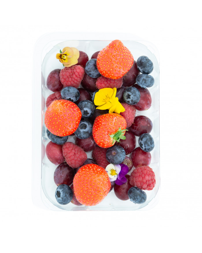 Quatuor Fraise Framboise Myrtille Raisin (300g) L'Atelier du Plateau