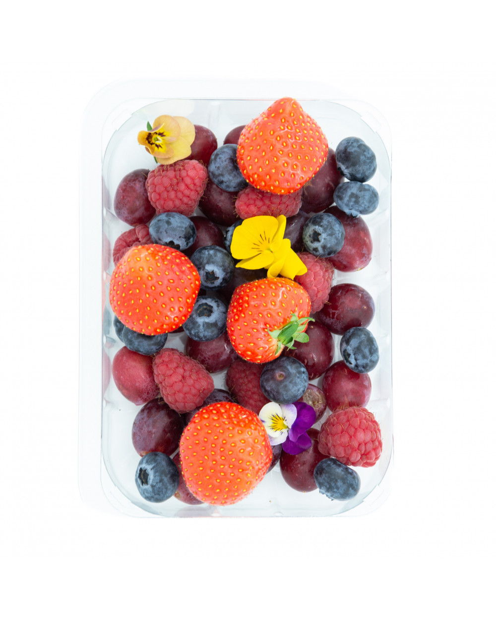 Quatuor Fraise Framboise Myrtille Raisin (300g) L'Atelier du Plateau